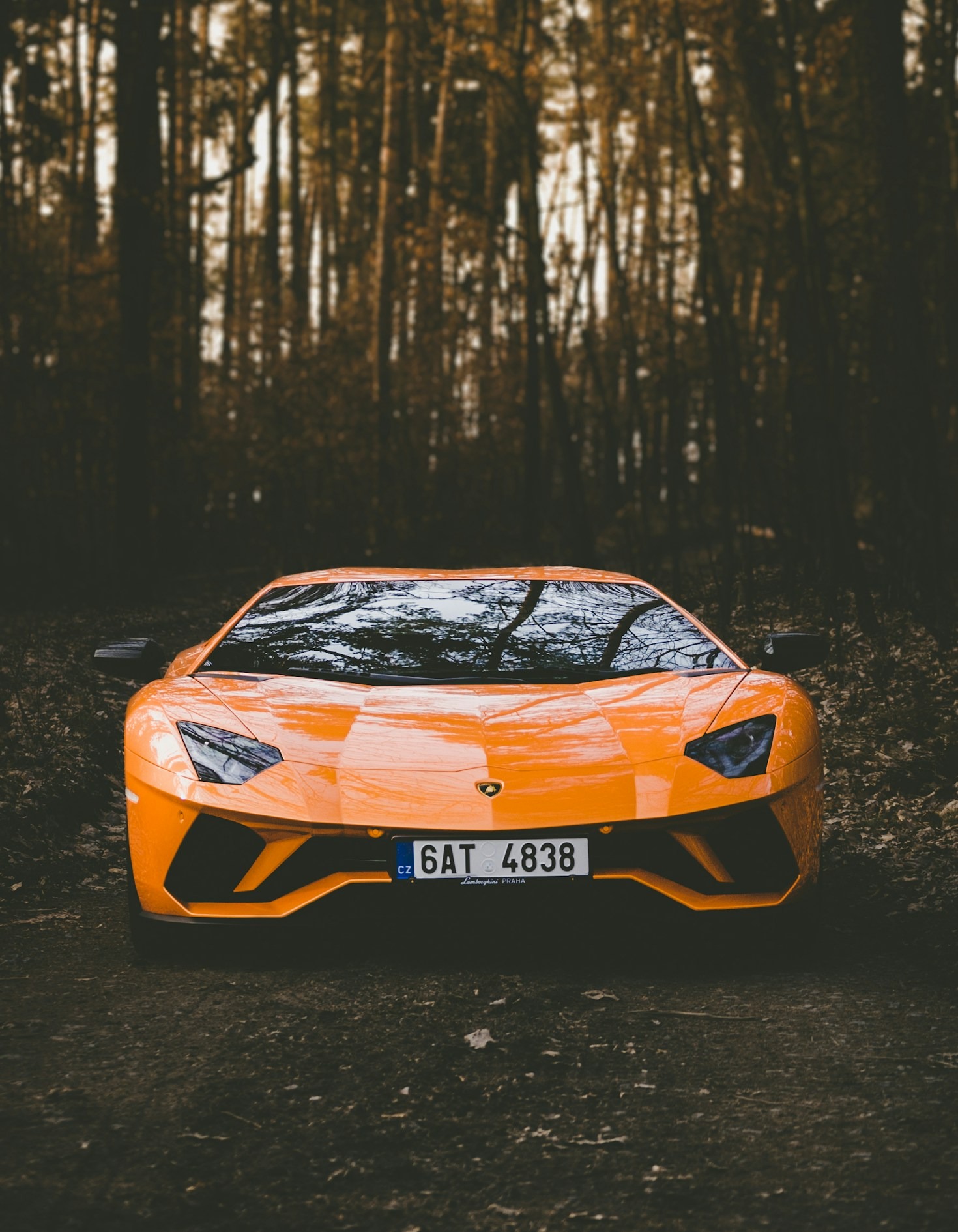 Top 10 Tips for Road Vehicle Maintenance